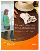 Microsoft Office 365 for Small Businesses