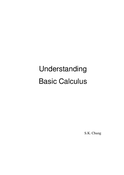 Understanding Basic Calculus